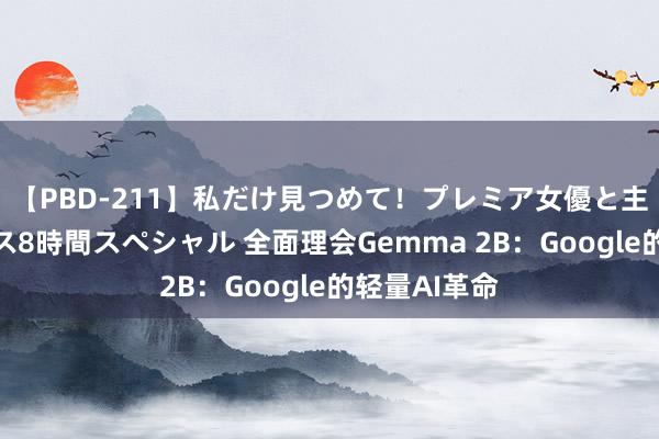 【PBD-211】私だけ見つめて！プレミア女優と主観でセックス8時間スペシャル 全面理会Gemma 2B：Google的轻量AI革命