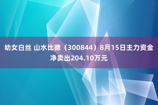 幼女白丝 山水比德（300844）8月15日主力资金净卖出204.10万元