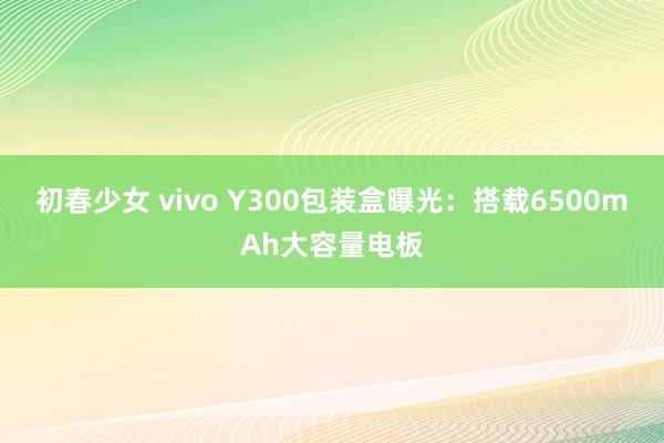 初春少女 vivo Y300包装盒曝光：搭载6500mAh大容量电板