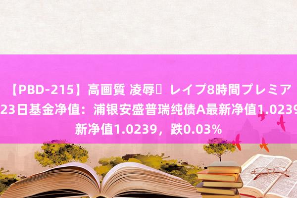 【PBD-215】高画質 凌辱・レイプ8時間プレミアムBEST 8月23日基金净值：浦银安盛普瑞纯债A最新净值1.0239，跌0.03%