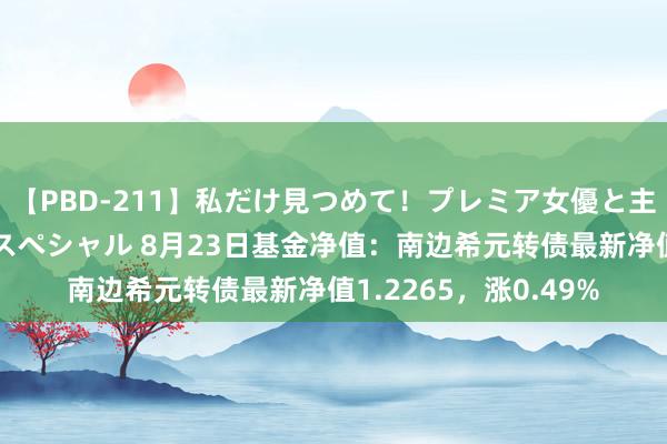 【PBD-211】私だけ見つめて！プレミア女優と主観でセックス8時間スペシャル 8月23日基金净值：南边希元转债最新净值1.2265，涨0.49%