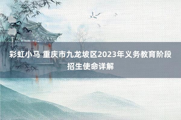 彩虹小马 重庆市九龙坡区2023年义务教育阶段招生使命详解